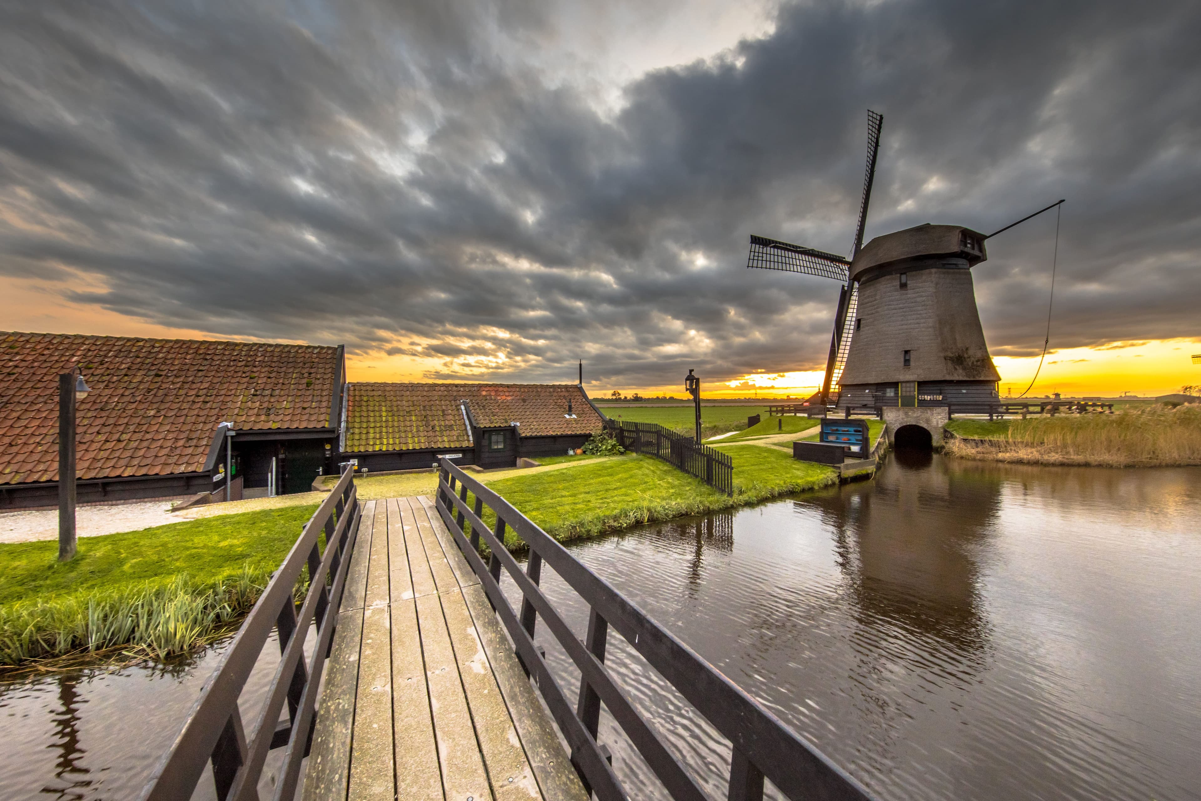 Seamless Sea Freight from the Netherlands